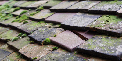 Stewartby roof repair costs
